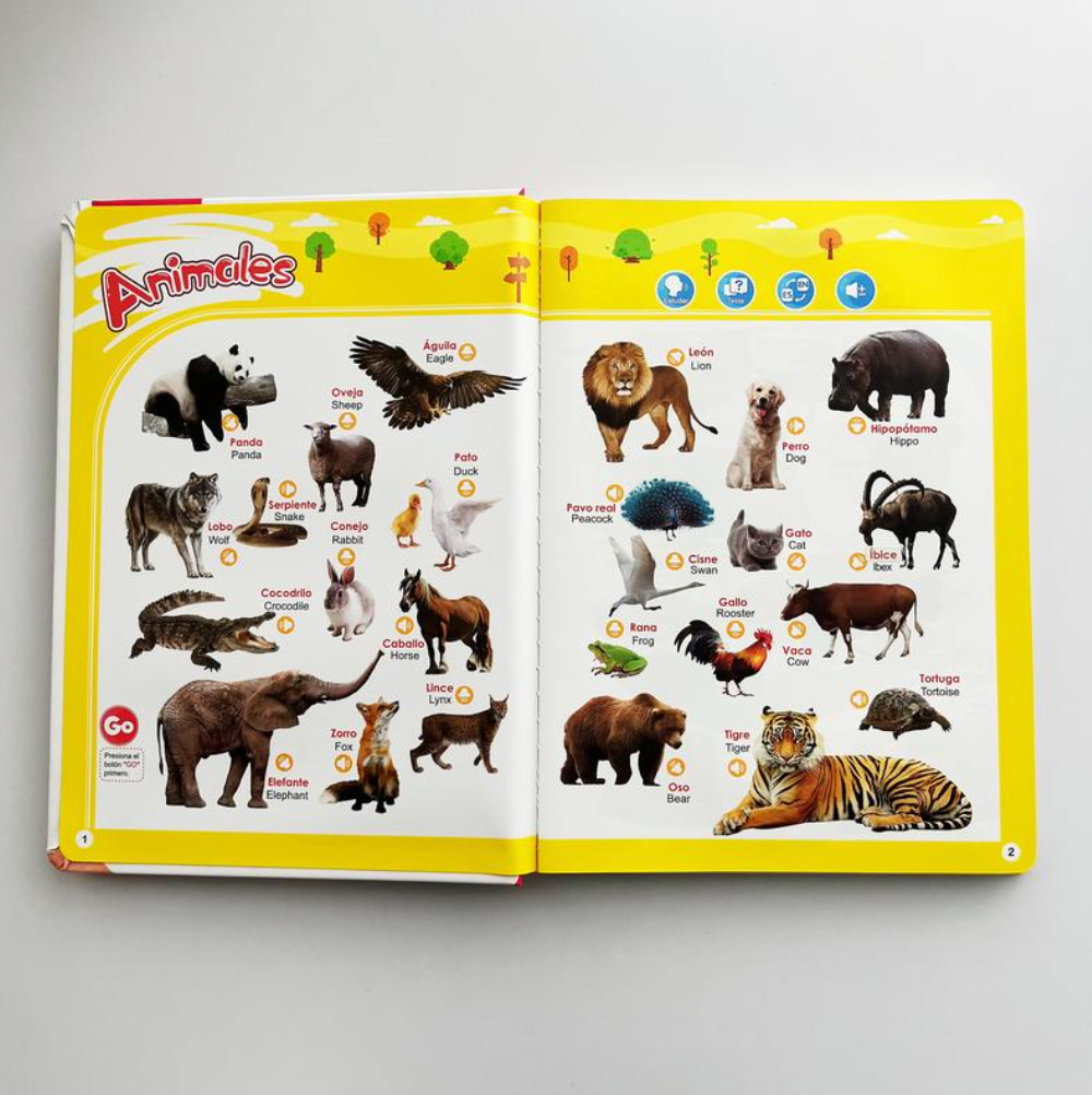 ⭐ Libro Interactivo Educativo +300 Palabras