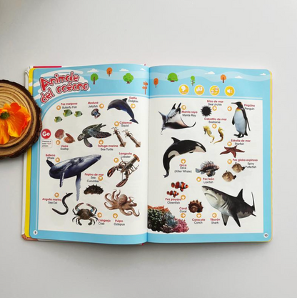 ⭐ Libro Interactivo Educativo +300 Palabras
