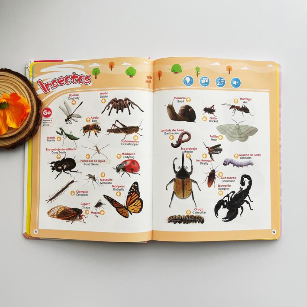 ⭐ Libro Interactivo Educativo +300 Palabras